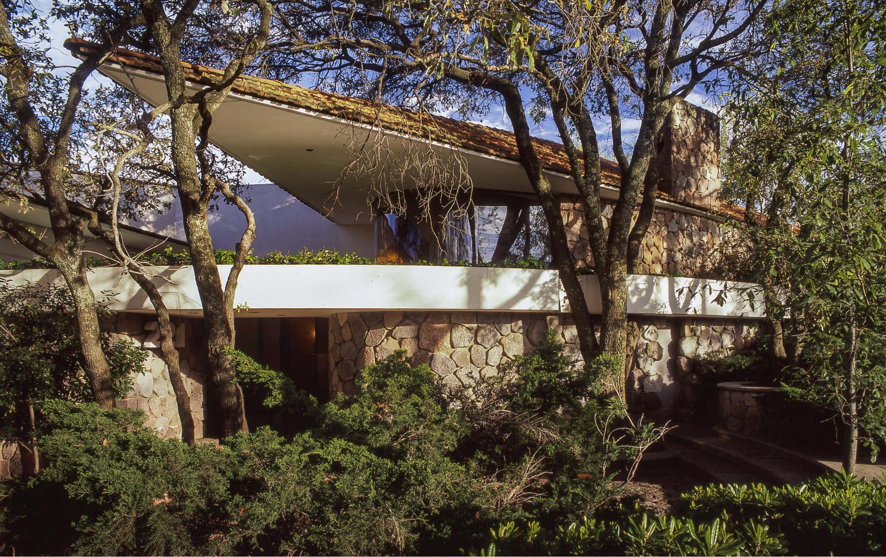 Una casa de Cornish Arquitectos entre árboles