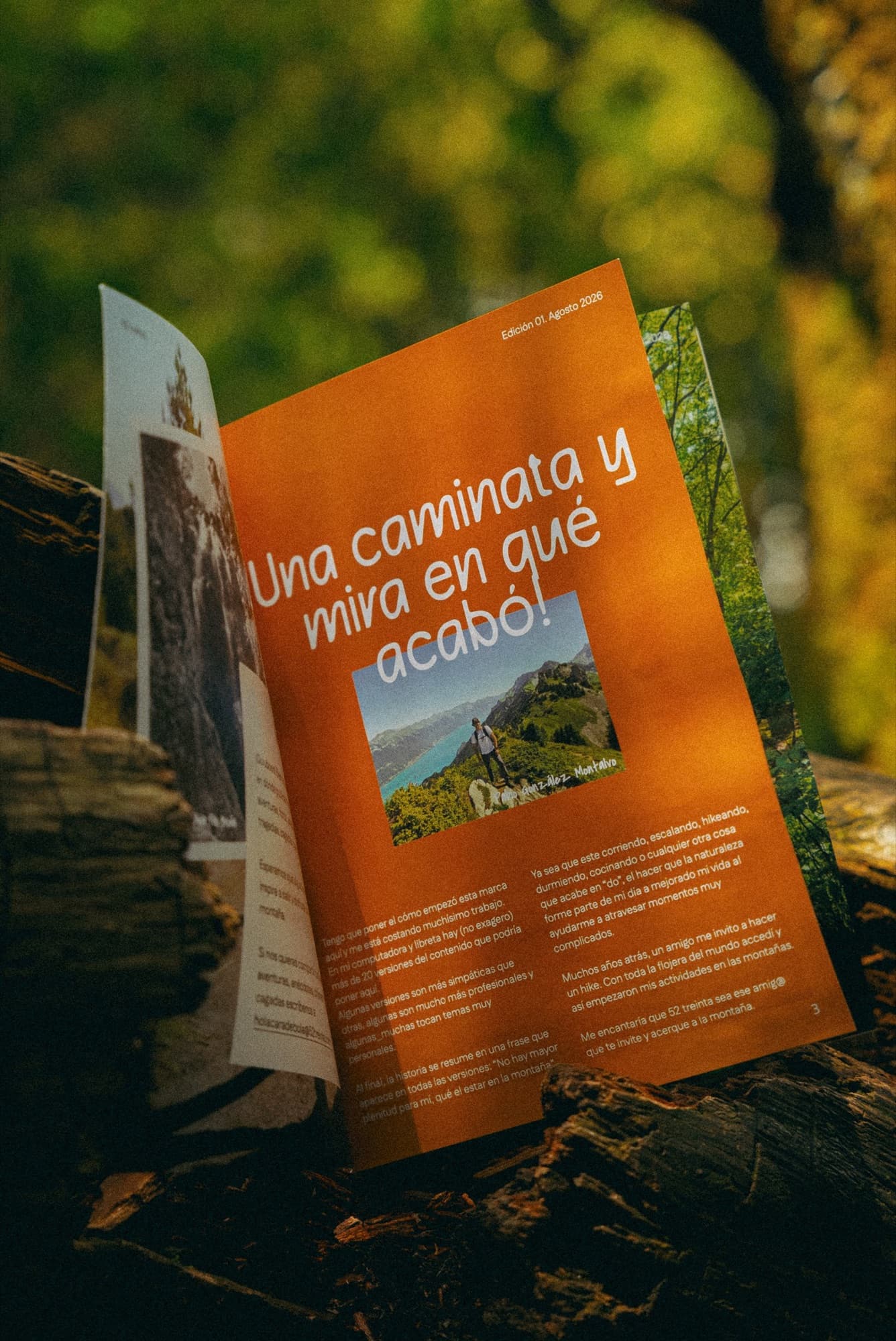 La revista abierta, recargada en un tronco del bosque