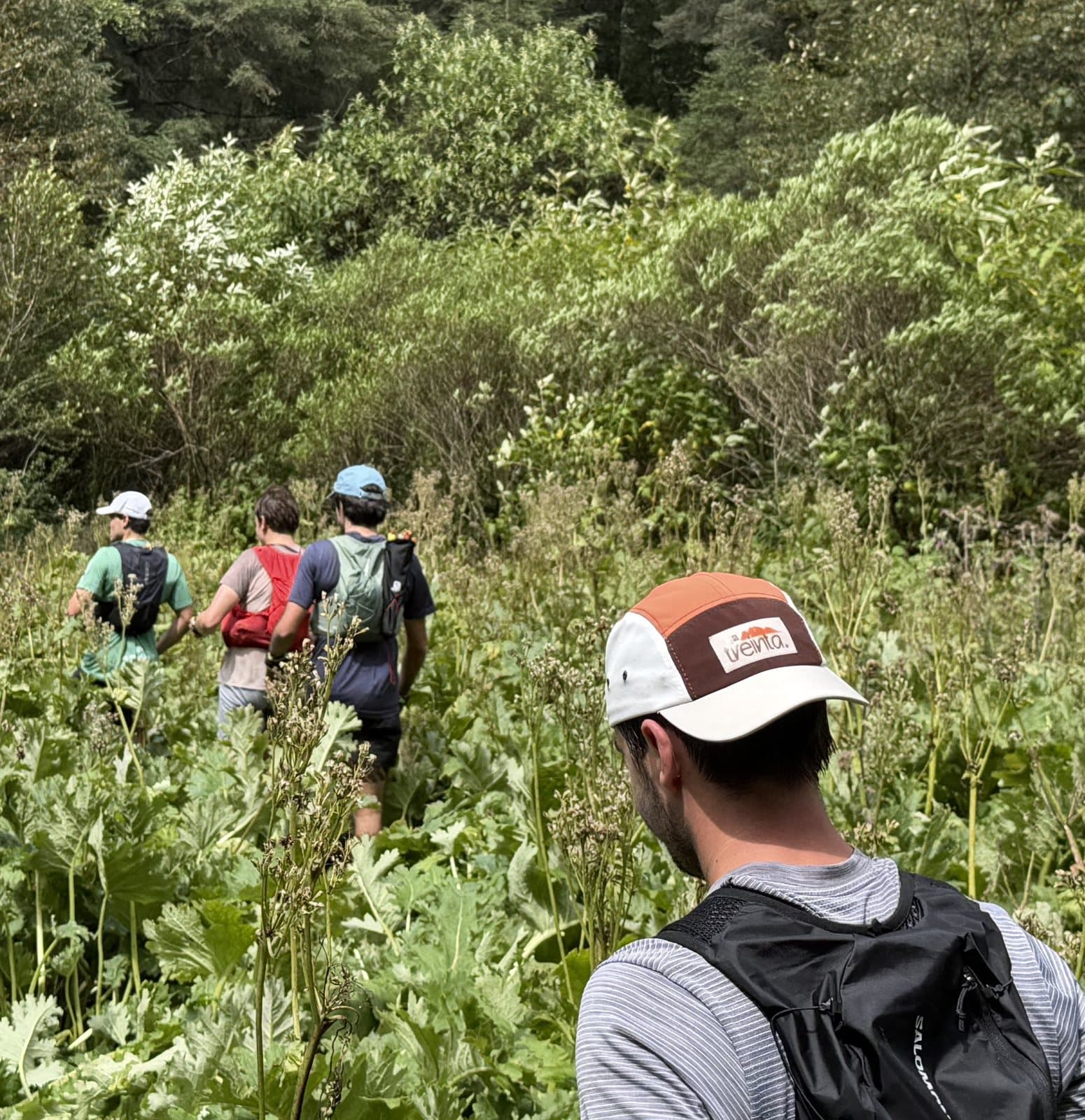 Un grupo camina entre la vegetación; al frente, uno con la gorra